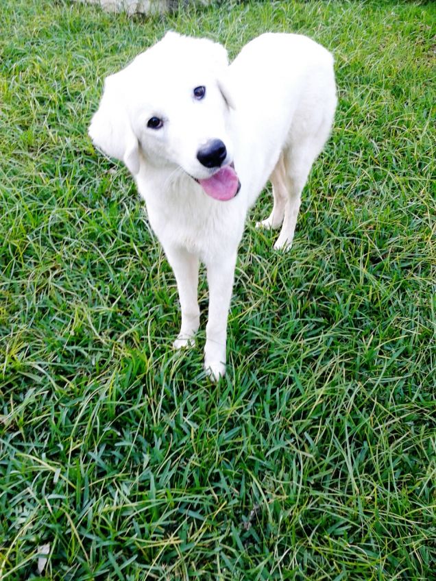 PARLI PROPRIO CON ME?!