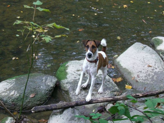 Sempre dentro l'acqua!