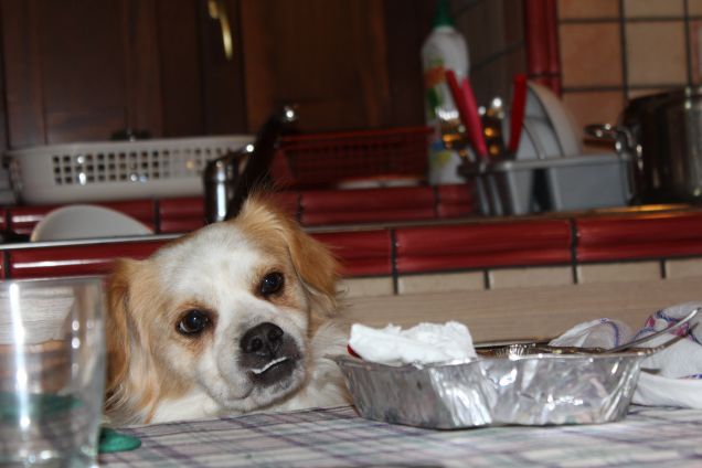 A Natale...si Mangia!! :)