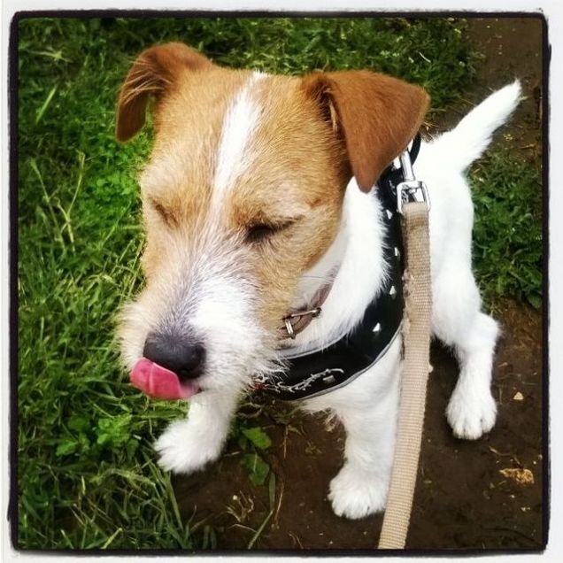 Queste polpette mi fanno venire fame