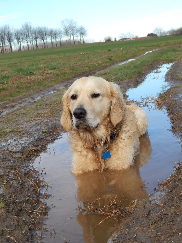 Artù e l'acqua !!