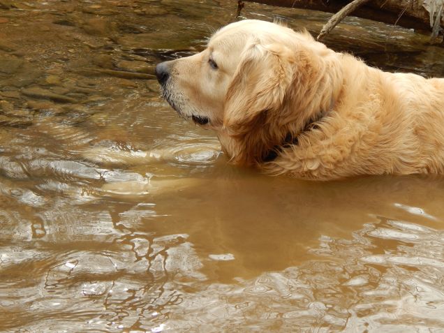 Artù... basta così poco per farlo felice !!
