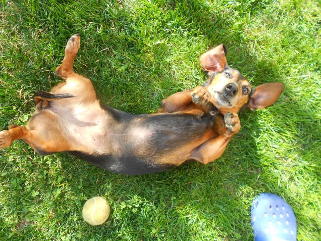 Inga... la nostra piccolina..