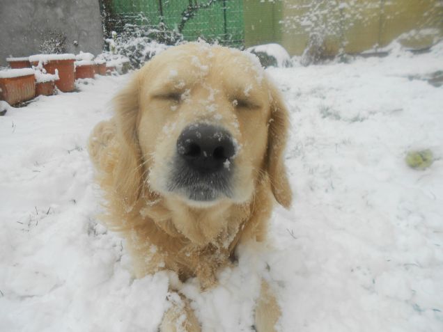 Lui è il mio migliore amico.. Lui è la mia gioia..