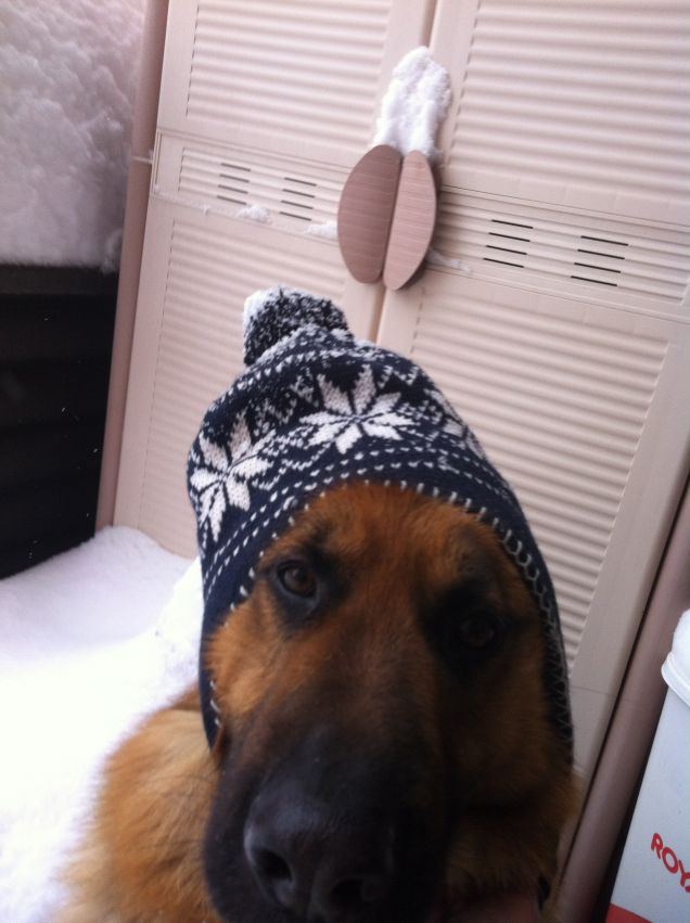 ares winter