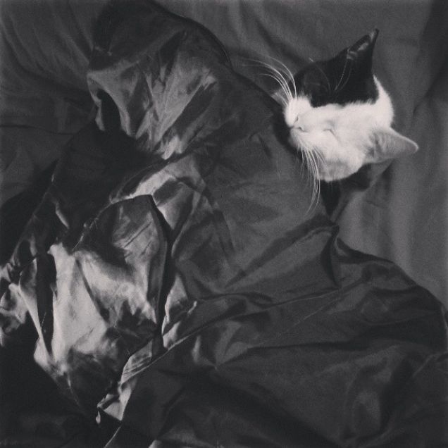 Qui fa freschino e io me la dormo 