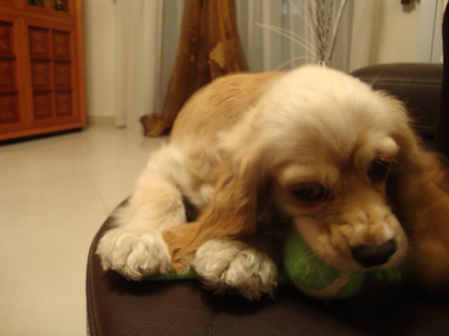 La dolcezza infinita