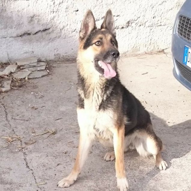 adora giocare all'aperto