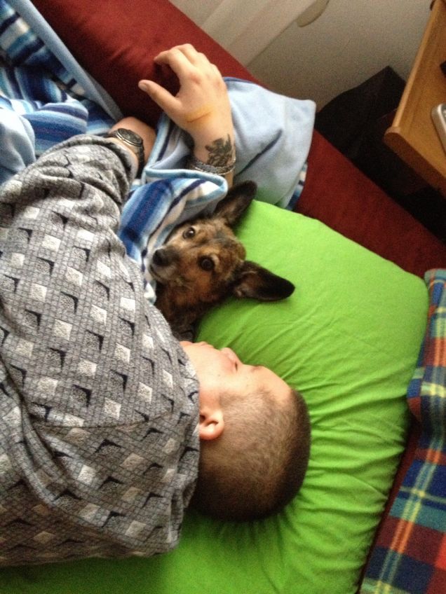 Io è la mia dolce DESY