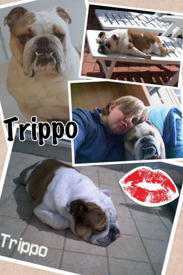 Taty e il suo amato trippo