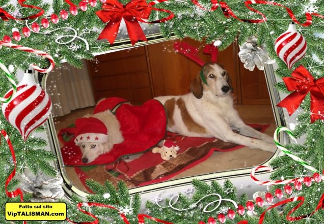 Buone feste da Tasha e Nuvola