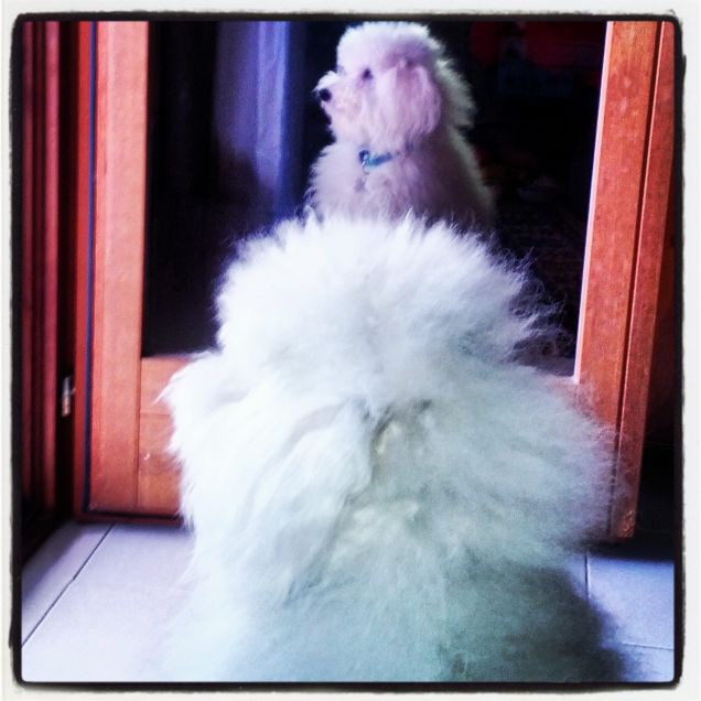 Sò bello pure di riflesso