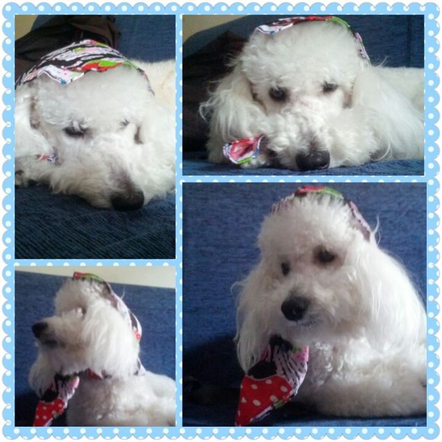 ma come mi avete conciato?