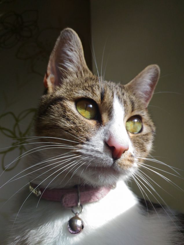 Amélie si scalda al sole