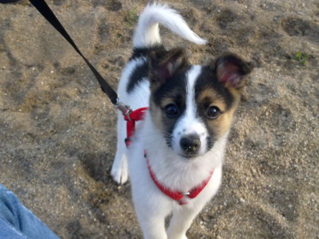 Mia in gita al lago!!