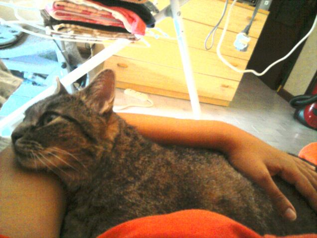 Dolci sogni cucciola mia!