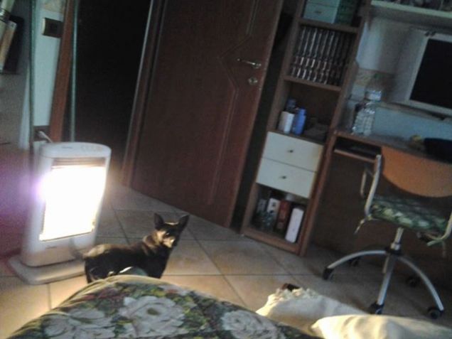 la mia piccola sally