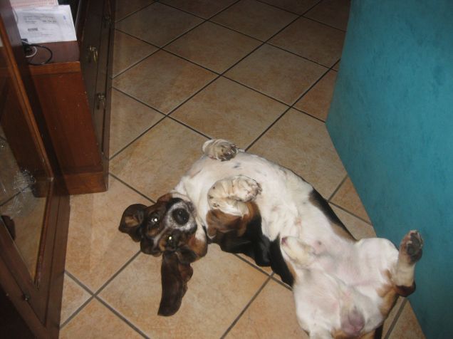 mi fate le coccole!!!!