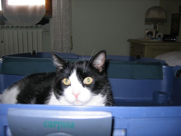 pronto per partire per le vacanze