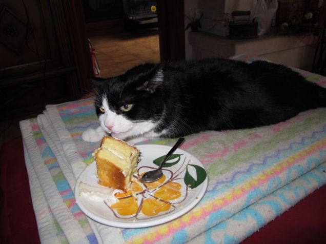 Buoooooona la torta!!!