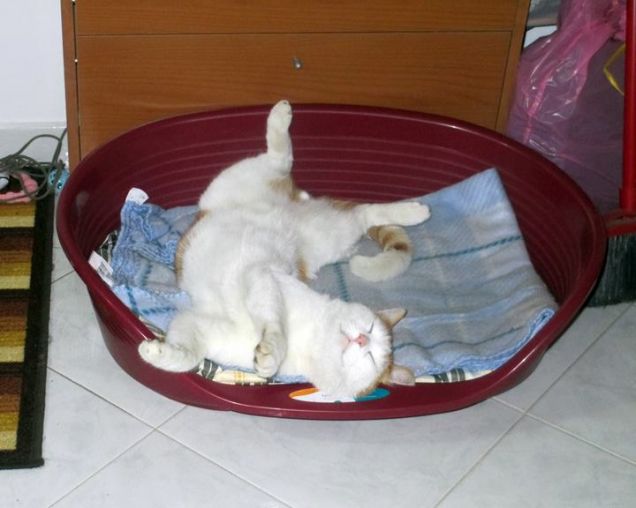 ma si può dormire così?