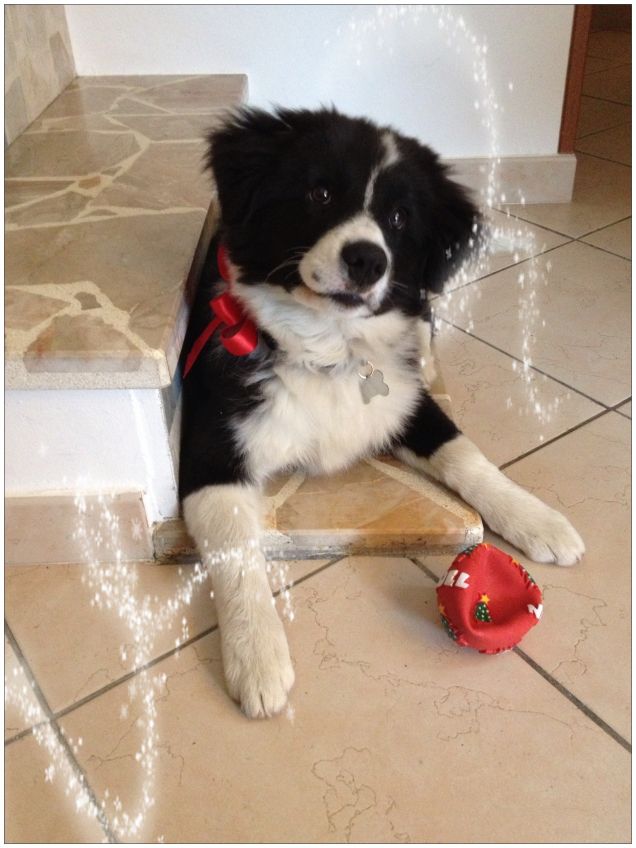 Sally e il suo primo Natale...