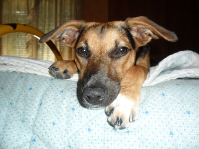 Se mi metto così,vengo bene???