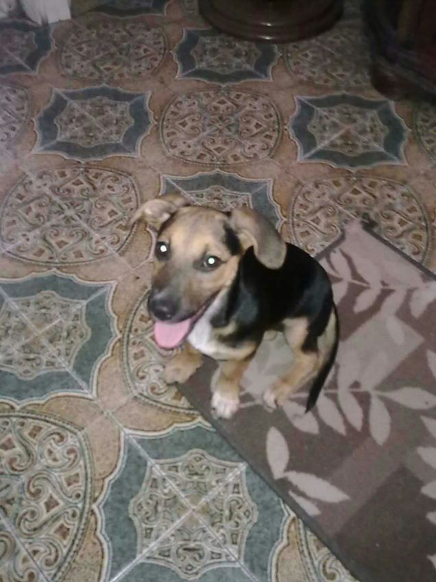 il mio arrivo in famiglia!!!