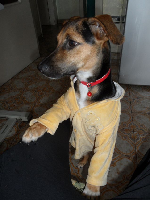 Nn è rossa ma faccio cmq la mia bella figura con qsta giakkettina :P