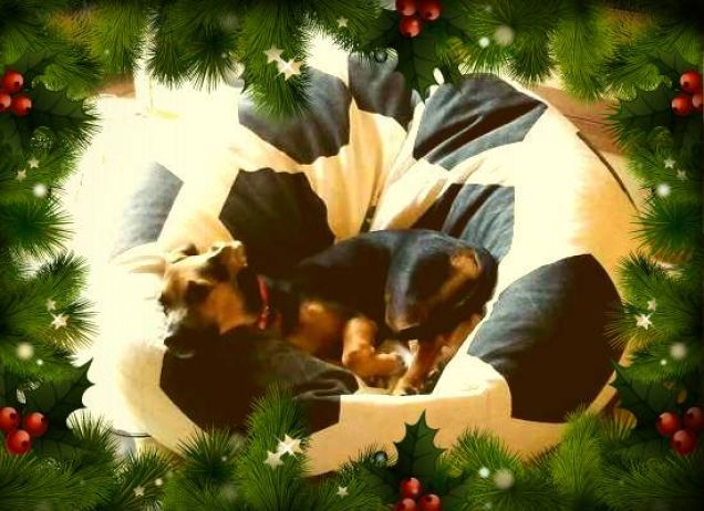 Ma quando arriva Babbo Natale???