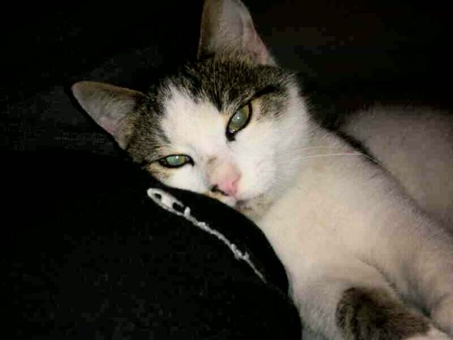 Oggi mi sono truccato!