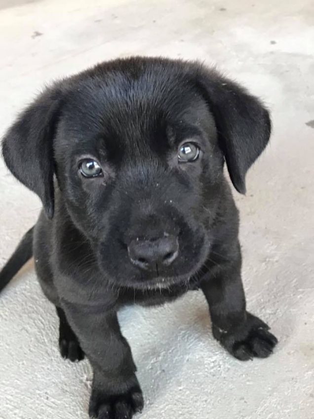 ho trovato la mia mamma!!!