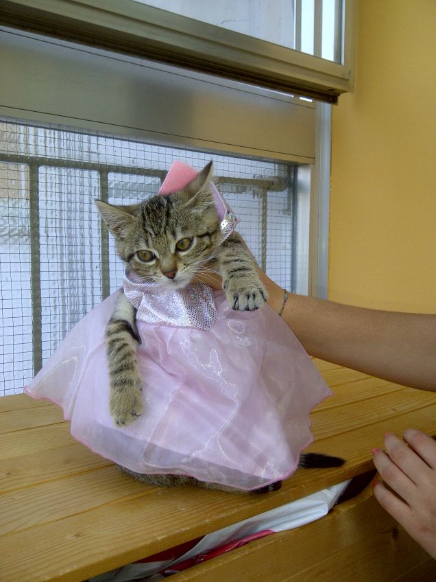 principessa dell'anno! 