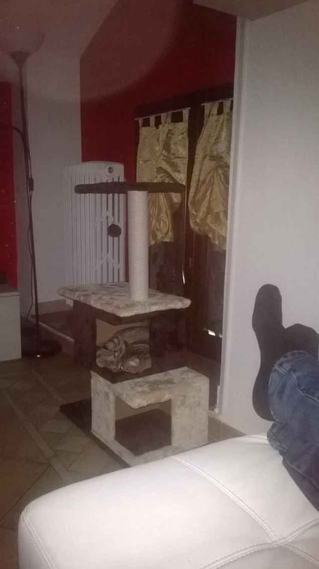 ora che é cresciuta ci voleva un grande tiragraffi 