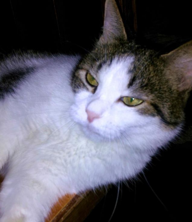 Stavo dormendo ..... @!*?!@@