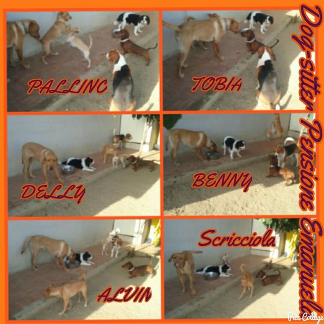 Insieme è meglio...