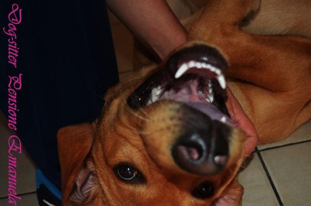 Le coccole una delle cose belle della vita...Delly