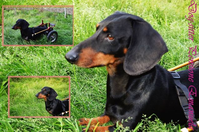 Mmm ho sentito un rumore sospetto,meglio controllare...Pippo 