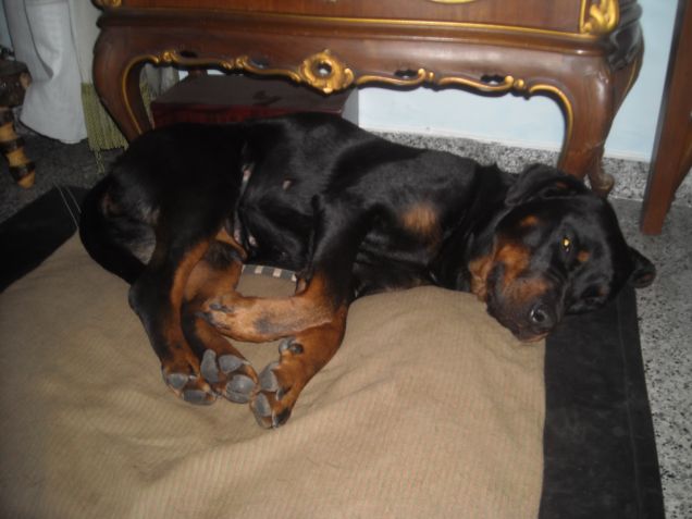 Quando lo spazio non basta mai