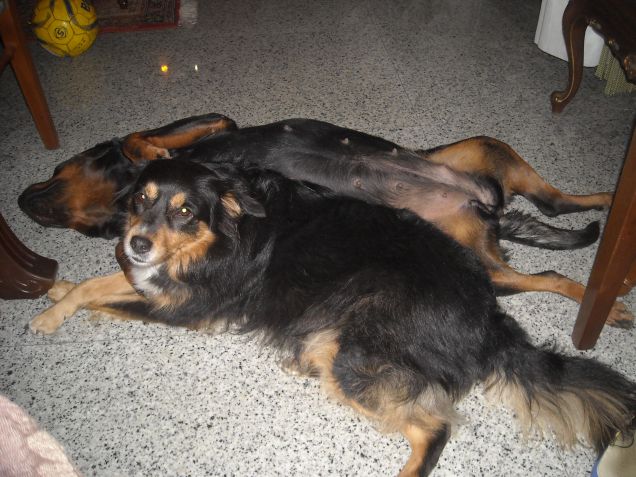 La dolcezza delle mie bimbe