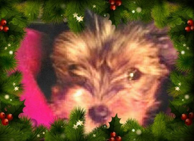 AUGURIIIII  Da MILITINO