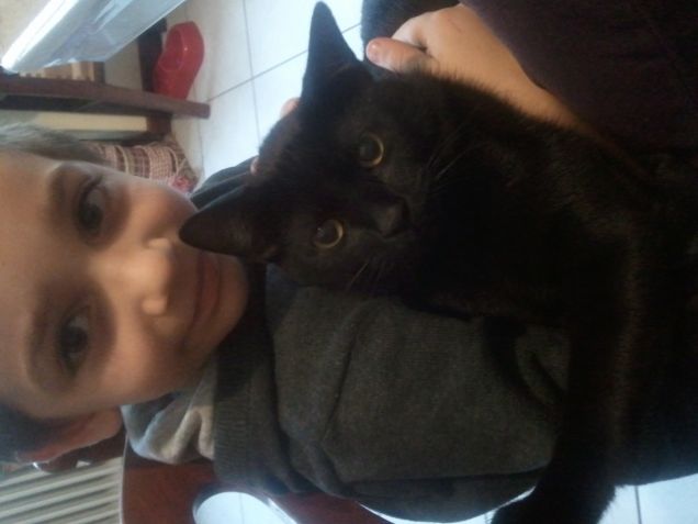 Coccole time con Felix