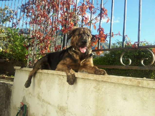 prendo la tintarella