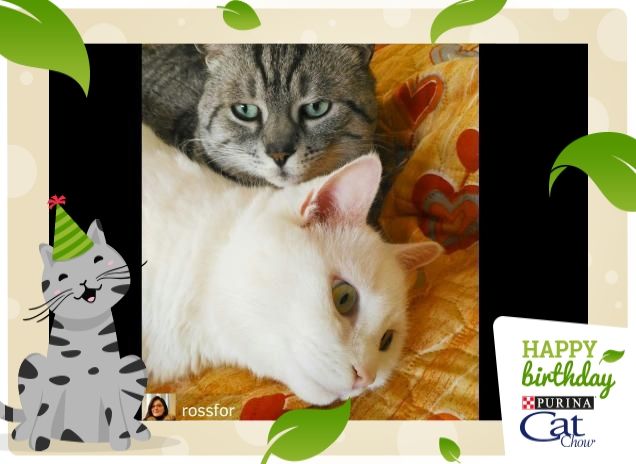 Mac e Whity sempre vicini vicini