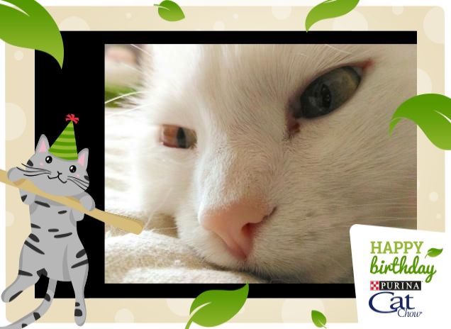 Whity .... buonanotte....