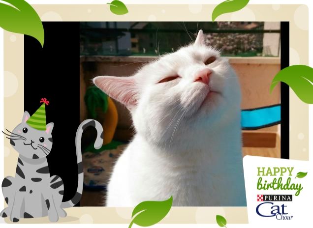 chissà se mi abbronzo un pò...