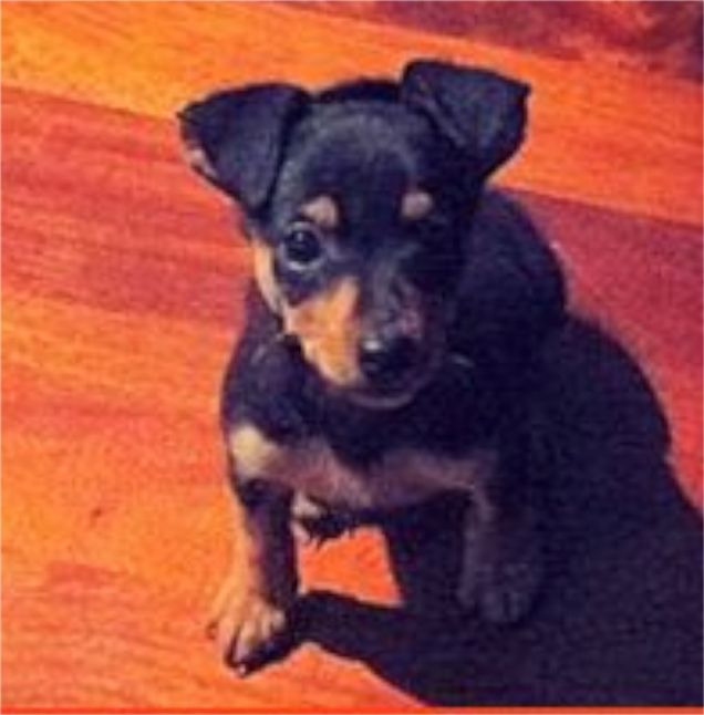 eccomi, questo ero io da PICCINO