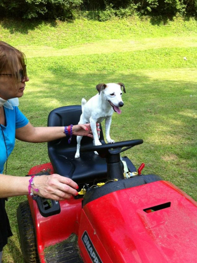 HAVANA SUL TRATTORINO TAGLIAERBA
