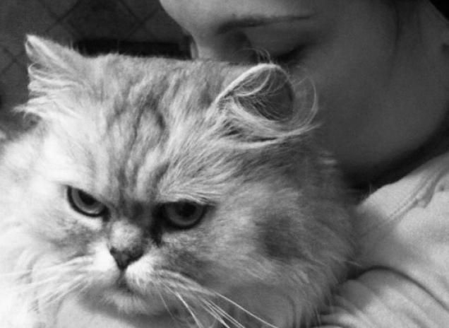 Un piccolo cuore, un grandissimo amore!