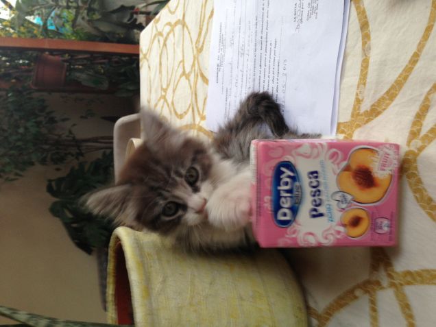 basta che sia dolce!